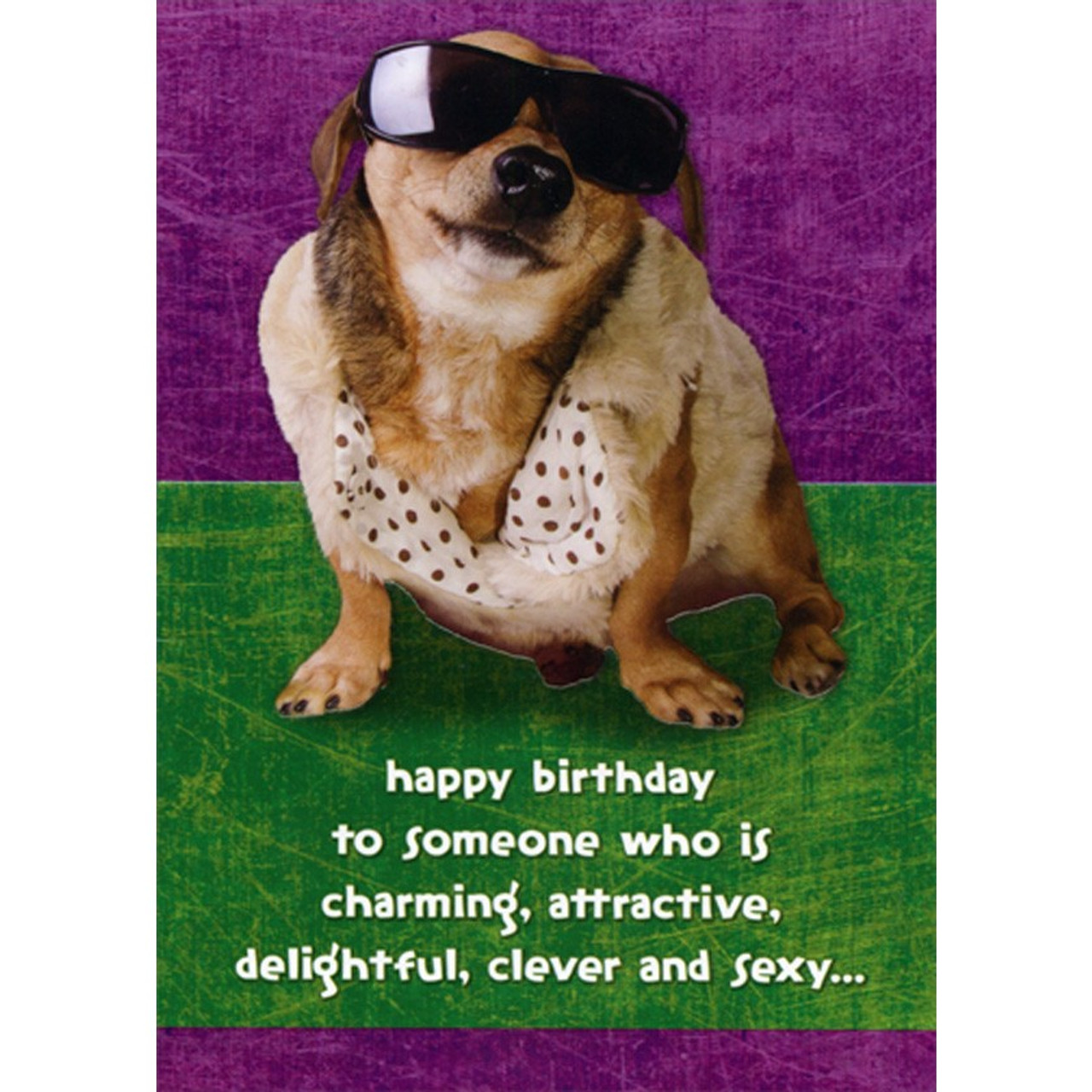 funny birthday wishes dog