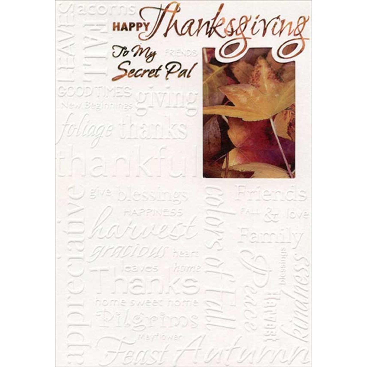 Secret　Thanksgiving　Leaves　Die　Embossed　for　Cut　Card　Window　Words　on　in　White　Pal