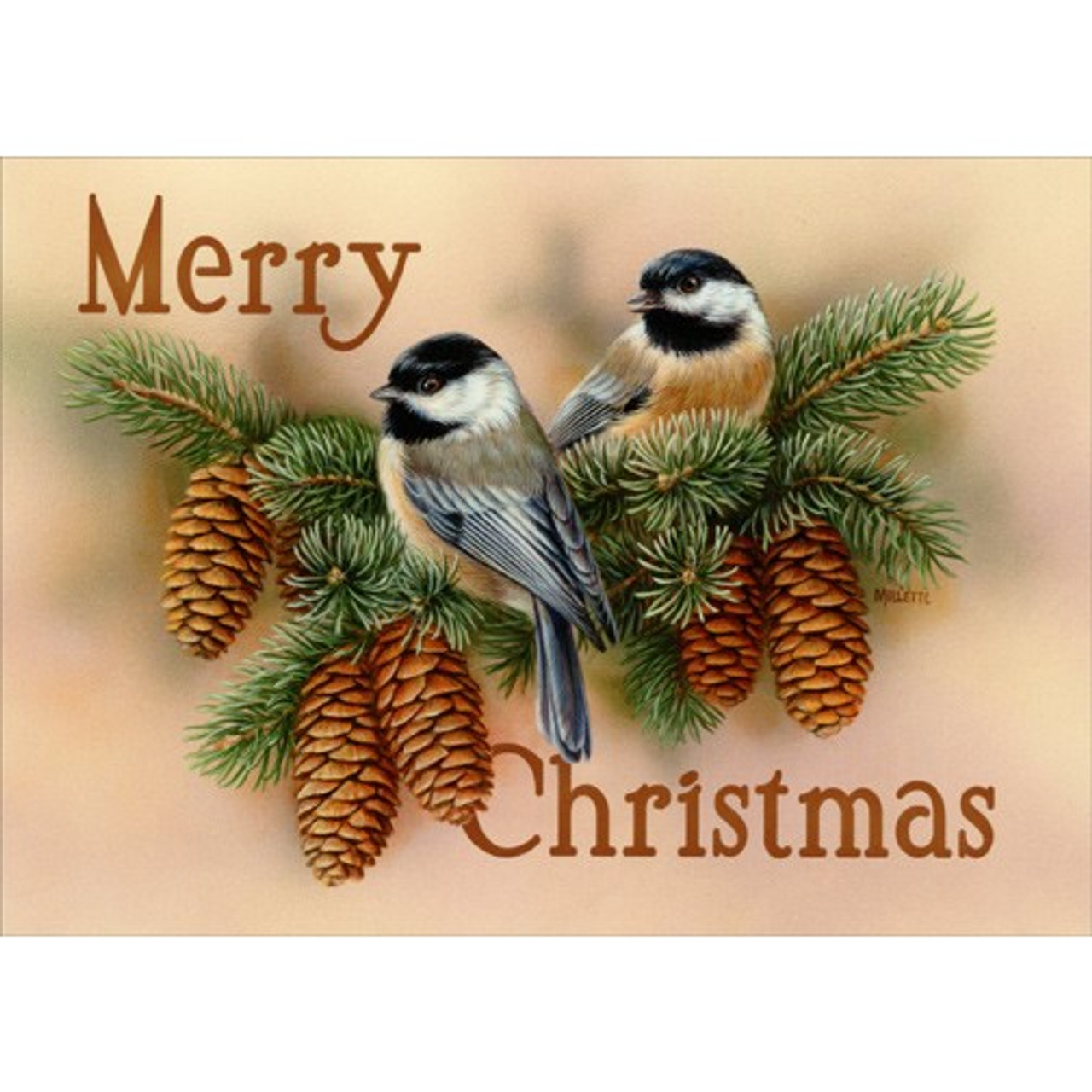Chickadee Vignette Box of 18 Bird Christmas Cards | PaperCards.com