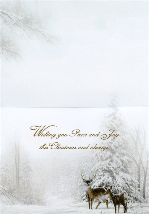 Deer and Stream in Winter Nature Christmas Card