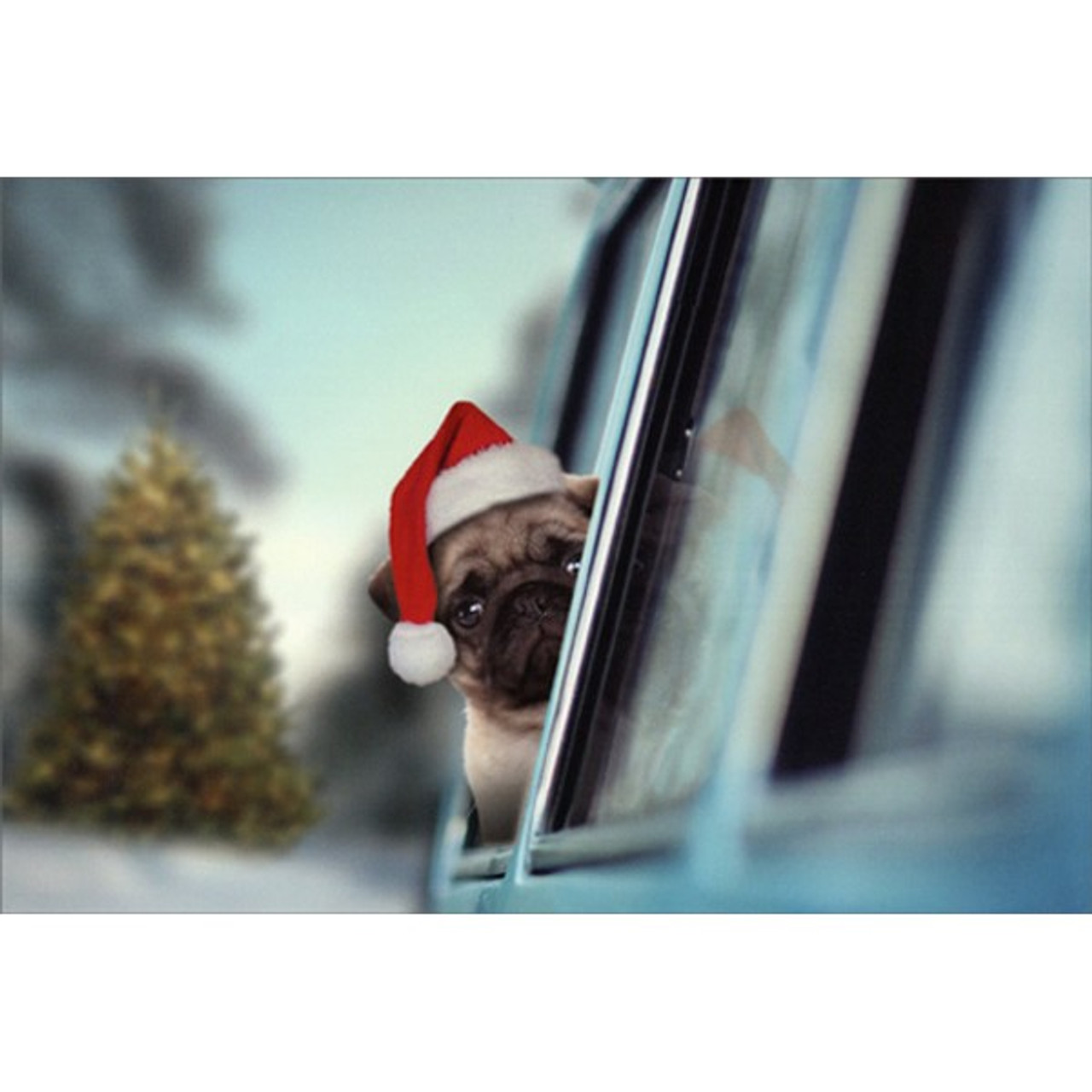 PUG PUPPY WITH CHRISTMAS GIFTS SINGLE DOG PRINT GREETING CHRISTMAS CARD