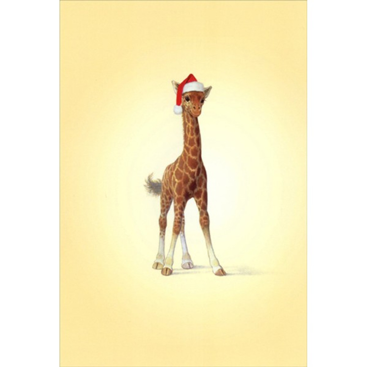 christmas baby giraffe