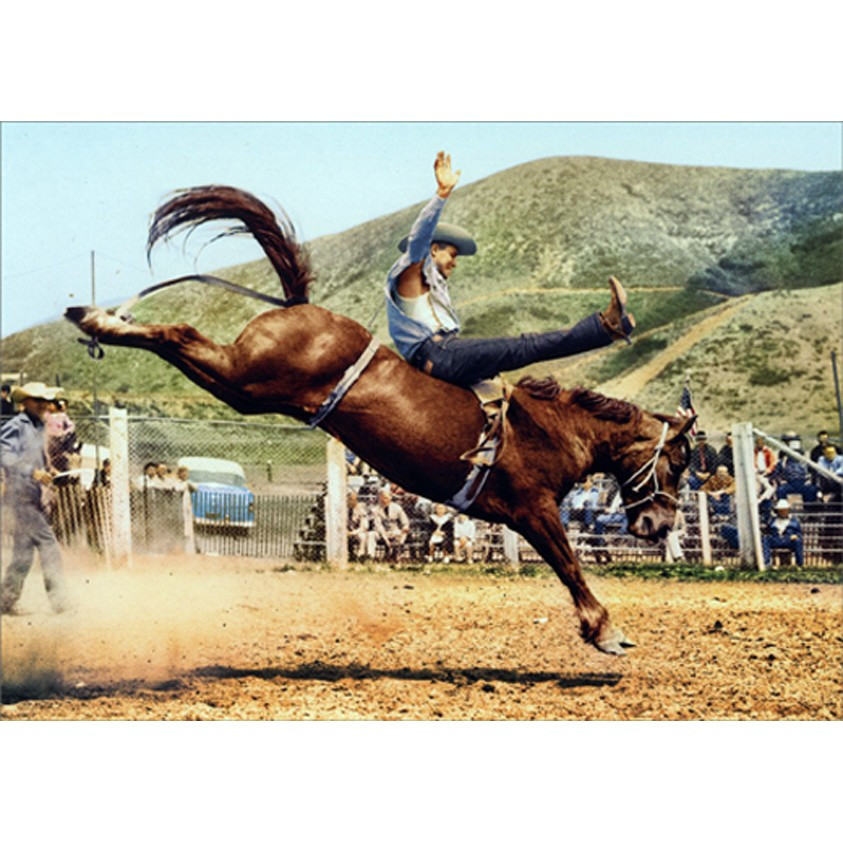 Bronco Rider Costumes Cowboy Bronco Buster Riding Horse America Collection Birthday Card ...