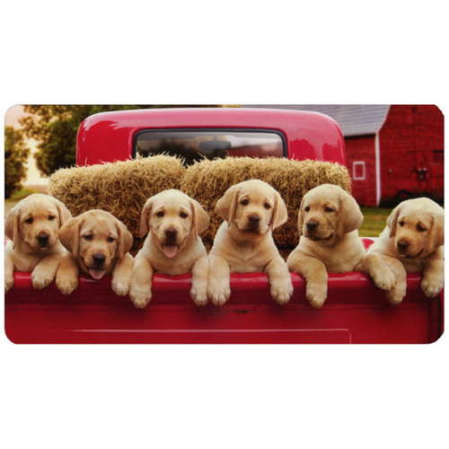 Labrador Puppies in Red Truck Little Big Funny Cute Dog Valentine's Day Card