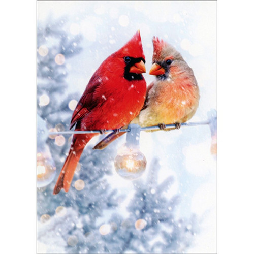 Christmas Cardinals Perched on String of Lights Box of 10 Christmas Cards