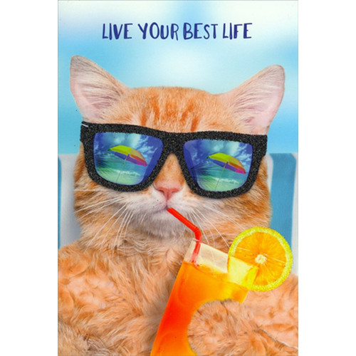 Live Your Best Life : Cat in Sunglasses Cute Birthday Card: Live Your Best Life