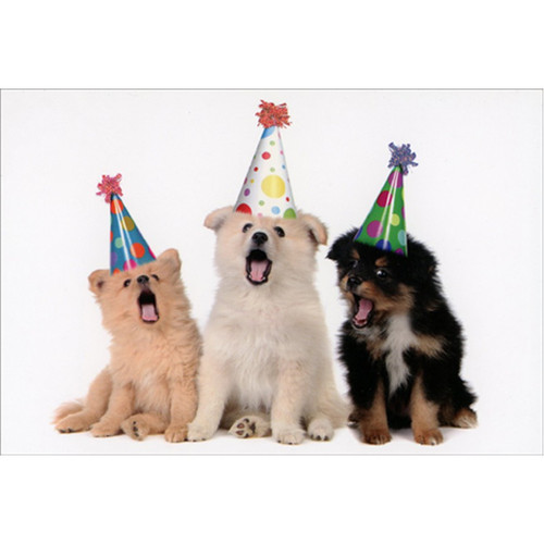 Three Puppies Wearing Party Hats Cute Birthday Card for Friend
