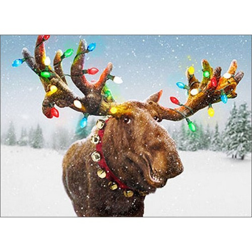 Decorated Moose Antlers Box of 10 Funny / Humorous Christmas Cards