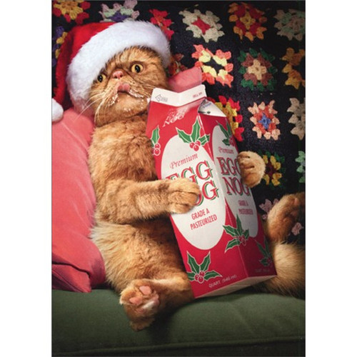 Cat Drinks Eggnogg Box of 10 Funny / Humorous Christmas Cards