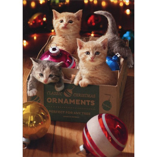 Kittens Playing in Box of Ornaments Box of 10 Cute Cat Christmas Cards