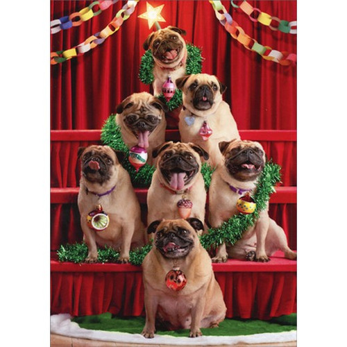 Pug Christmas Tree Box of 10 Funny / Humorous Dog Christmas Cards