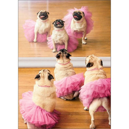 Ballerina Pugs Funny / Humorous Dog Birthday Card