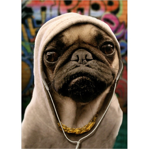 Pug in Hoodie Funny / Humorous Dog Birthday Card