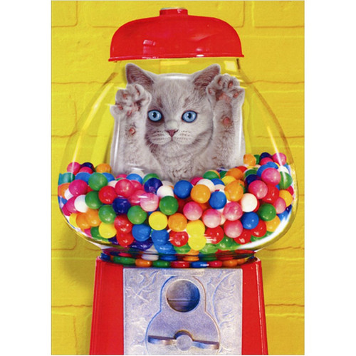 Cat Inside Bubble Gum Machine Funny Birthday Card