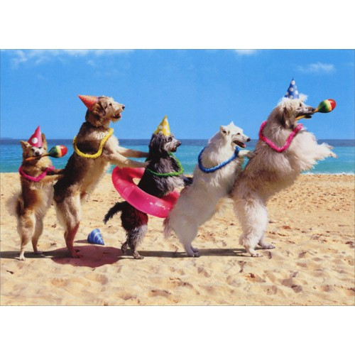 Dog Conga Line Funny / Humorous Birthday Card