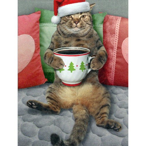 Sitting Cat with Festive Mug Resting on Belly Package of 8 Funny Christmas Note Cards