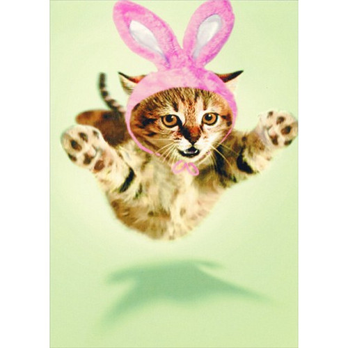 Kitten Hug Funny Cat Easter Card