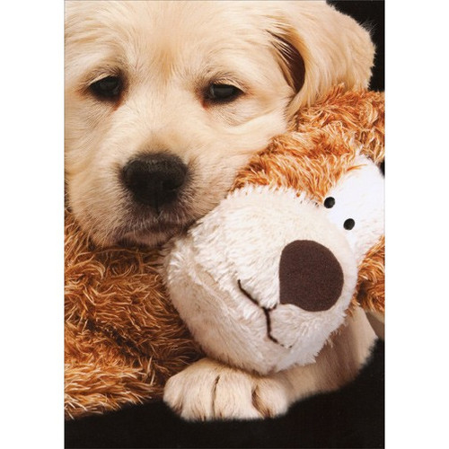 Dog Cuddles Stuffed Animal Blond Lab Romantic Birthday Card