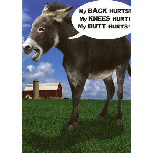Donkey My Back Hurts Funny / Humorous Birthday Card: My BACK hurts! My KNEES hurt! My BUTT hurts!