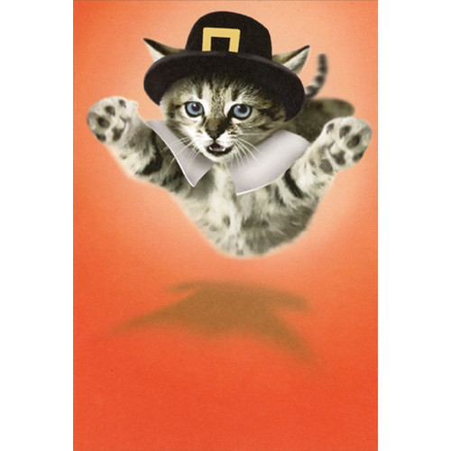 Pilgrim Kitten Hug Cute Cat Thanksgiving Card