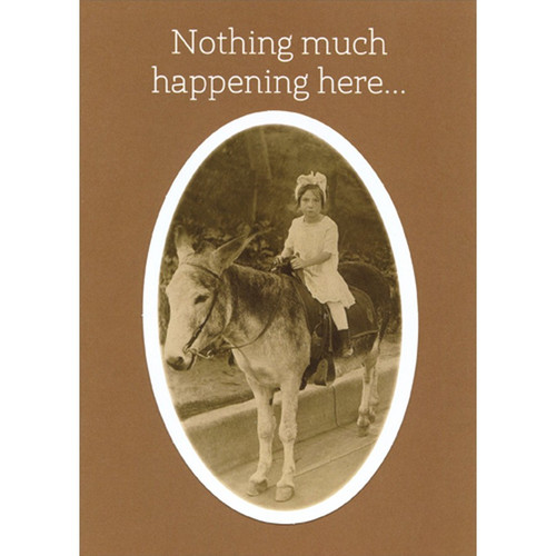 Nothing Much Happening Donkey Funny / Humorous Thinking of You Card: Nothing much happening here?