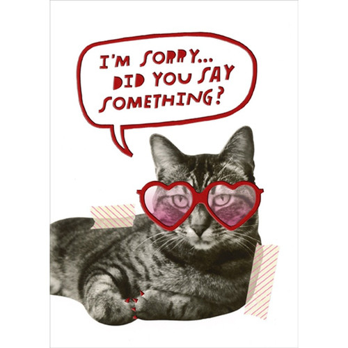 Cat with Heart Shaped Glasses Funny / Humorous Valentine's Day Card: I'm sorry… did you say something?