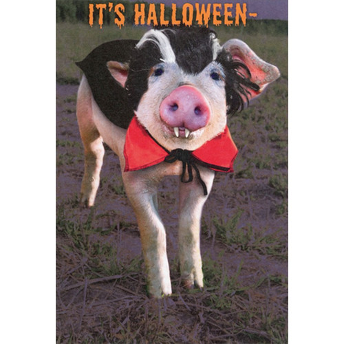 Vampire Pig Funny / Humorous Halloween Card: It's Halloween -