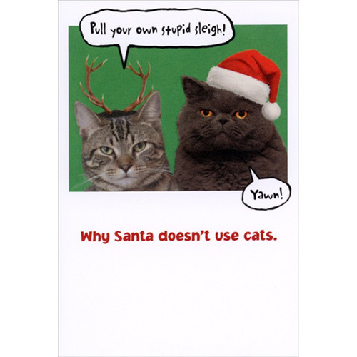 Why Santa Doesn't Use Cats Funny / Humorous Christmas Card: Pull your own stupid sleigh! Yawn! Why Santa doesn't use cats.