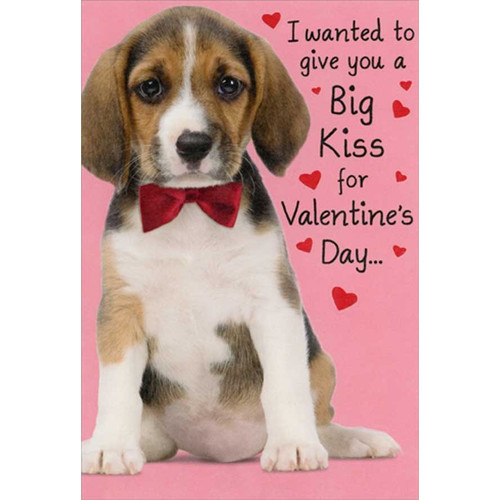 Puppy Wanted To Give Big Kiss Humorous / Funny Dog Valentine's Day Card: I wanted to give you a Big Kiss for Valentine's Day…