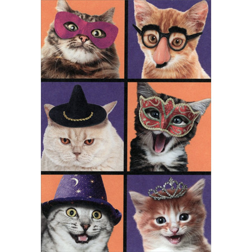 Six Cats Halloween Card