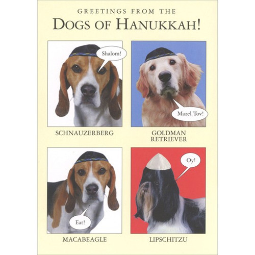 Dogs Of Hanukkah Funny Humorous Hanukkah Card: Greetings from the Dogs of Hanukkah! - Shalom! Schnauzerberg - Mazel Tov! Goldman Retriever - Eat! Macabeagle - Oy! Lipschitzu