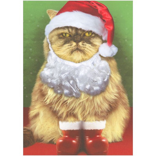 Grumpy Cat in Santa Suit Christmas Card