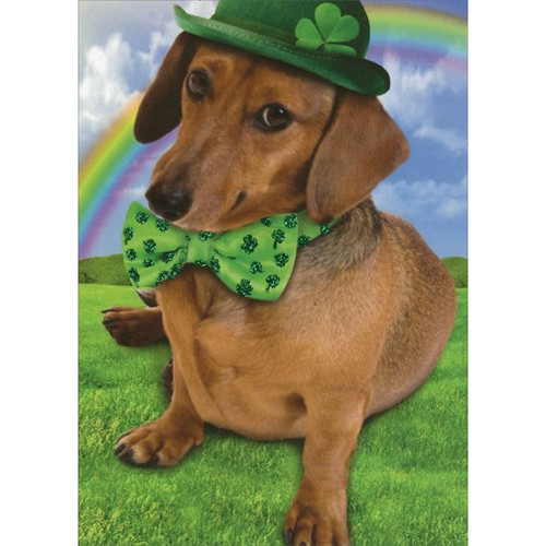 Weinerful St Patrick's Day Funny Dog St. Patrick's Day Card