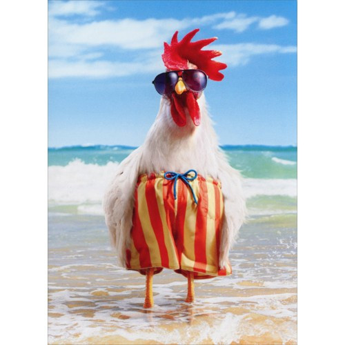 Rooster Wears Swimsuit Funny / Humorous Birthday Card