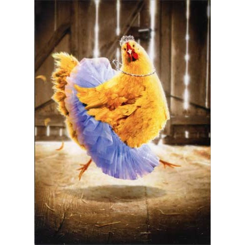 Chicken in Tutu Funny / Humorous Birthday Card