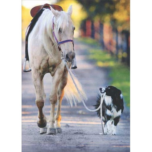 Dog And Horse Walking Deluxe Matte Blank Note Card