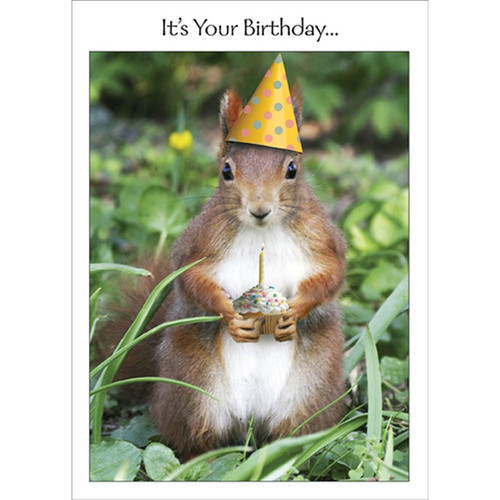 Squirrel in Party Hat Holding Cupcake Funny / Humorous Birthday Card: It’s Your Birthday...