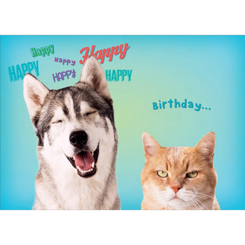 Happy Huskie and Grumpy Cat Funny / Humorous Dog and Cat Birthday Card: Happy Happy Happy Happy Happy Happy - Birthday…