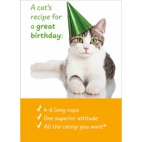 Cat's Recipe For a Great Birthday Funny / Humorous Cat Birthday Card: A cat's recipe for a great birthday: 4-6 long naps - One superior attitude - All the catnip you want*