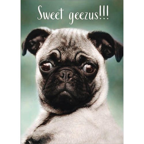 Pug Sweet Geezus Funny / Humorous Dog Over The Hill Birthday Card: Sweet geezus!!!