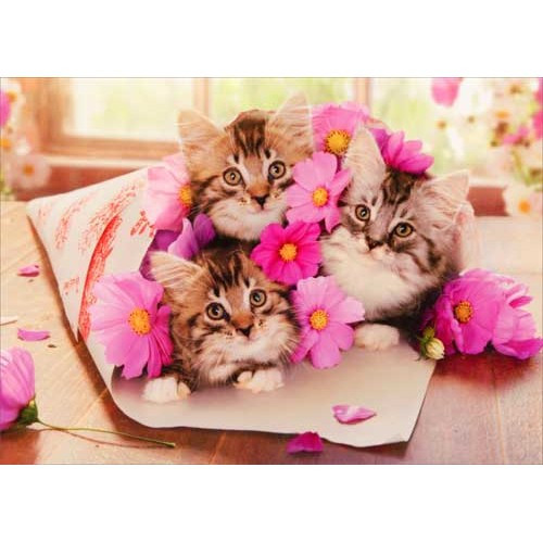 Kitten Bouquet Funny / Humorous Cat Birthday Card