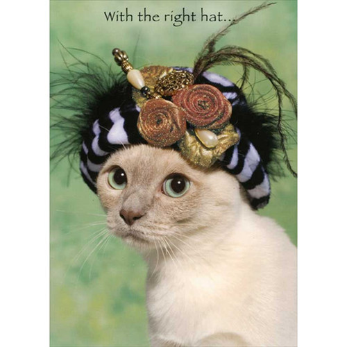 White Cat With The Right Hat Feminine Funny : Humorous Birthday Card for Her : Woman : Women: With the right hat…