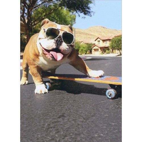 Bulldog Sunglasses Skateboard Funny Dog Birthday Card
