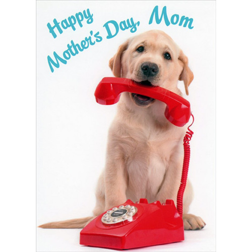 Dog Holds Red Phone Cute Funny Mother's Day Card for Mom: Happy Mother’s Day, Mom