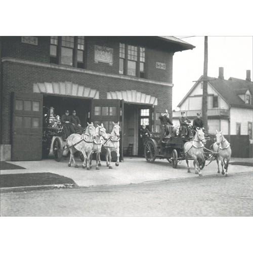 Fire Department Horses Historic Detroit Blank Note Card