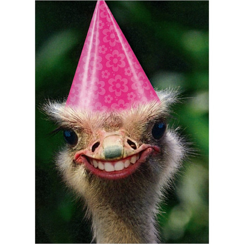 Freakishly Happy Ostrich Funny / Humorous Birthday Card