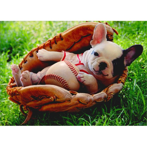 Puppy In Baseball Mitt Funny Dog New Baby Card