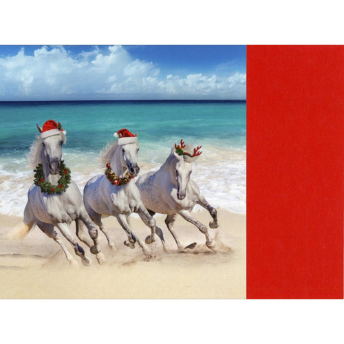 Three White Horses Galloping on Beach Box of 12 Warm Weather Tropical Christmas Cards