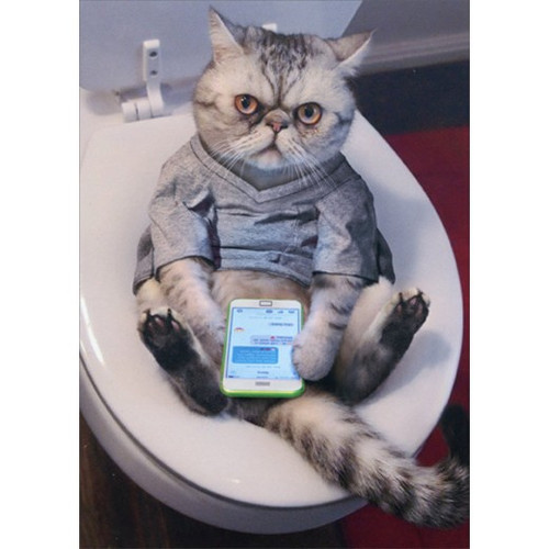 Cat On Toilet StandOut Pop Up Funny Birthday Card