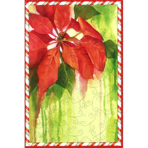 Candy Border Poinsettia Holiday Card